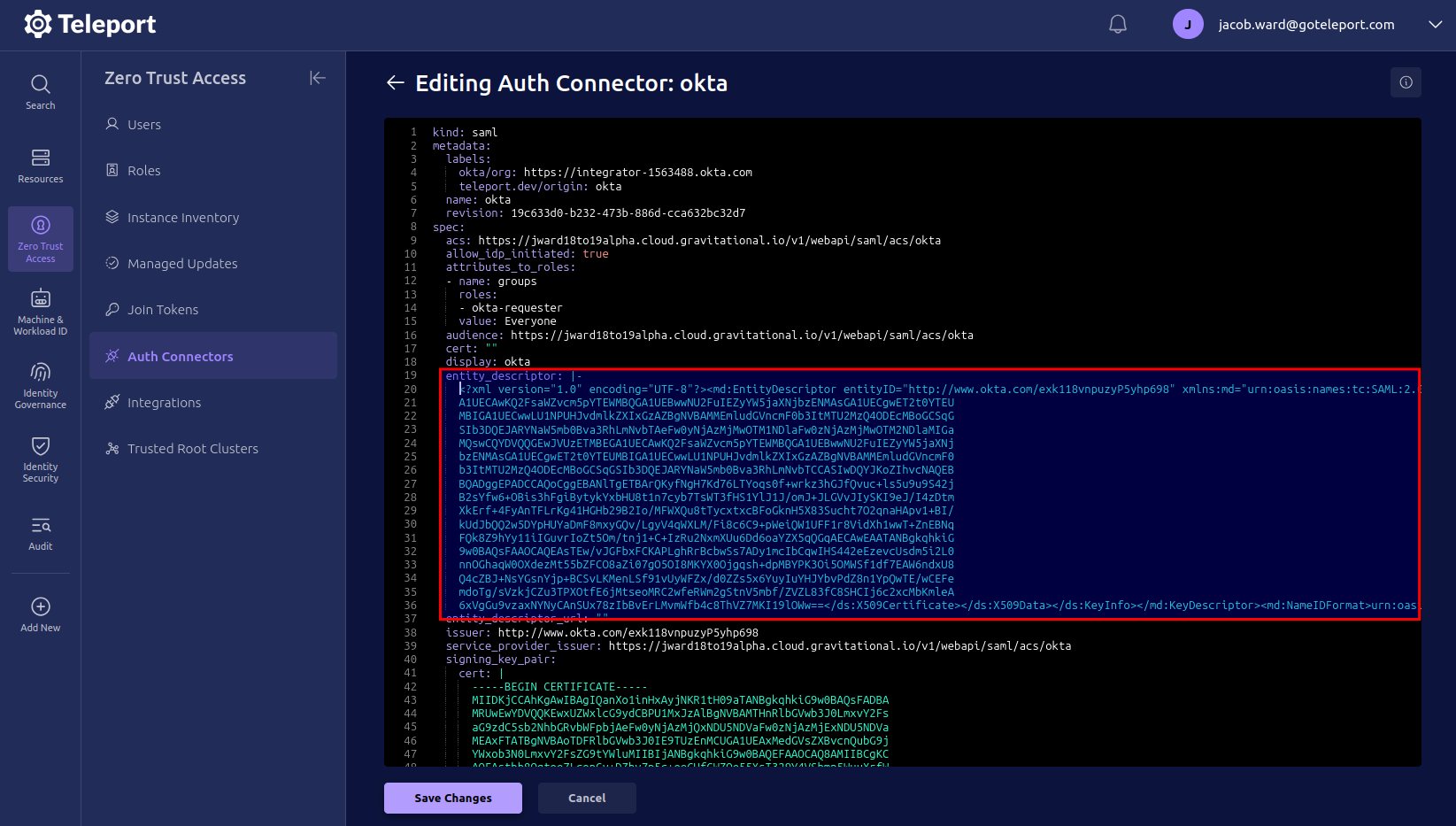 Replacing contents of entity descriptor field